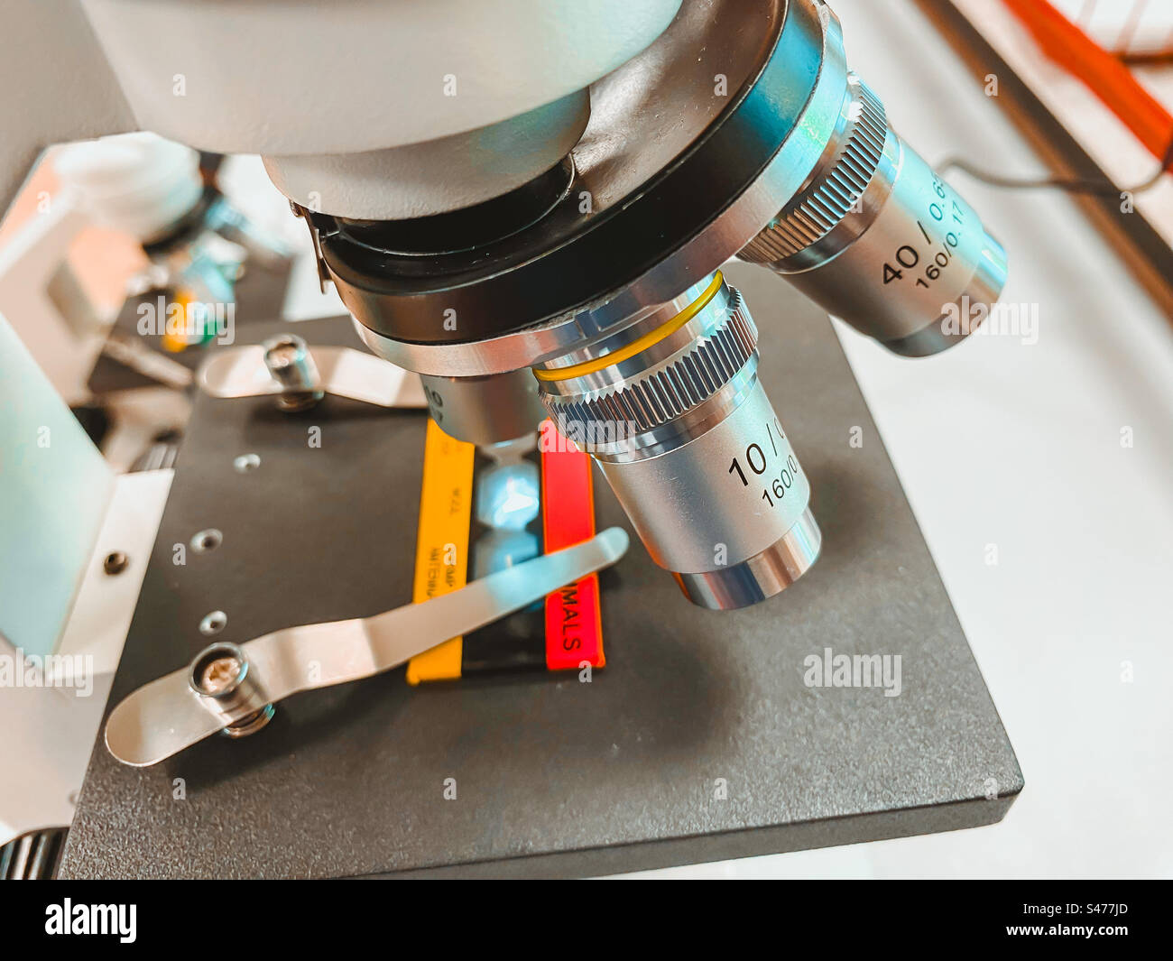 Un microscopio in un laboratorio di scienze scolastiche ha impostato YP per esaminare un campione. Foto Stock