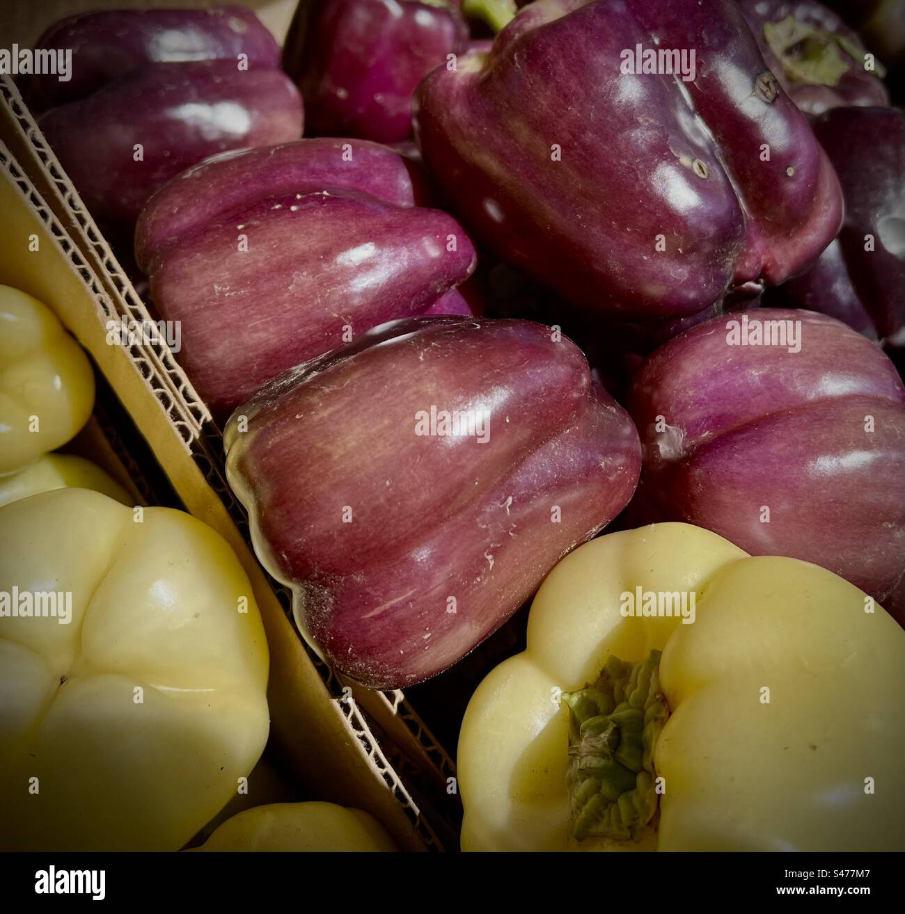 Vendemmia estiva di diverse varietà e colori di peperoni al mercato estivo di frutta e verdura a Edmonds WA, USA - Immagine stock catturata con smartphone