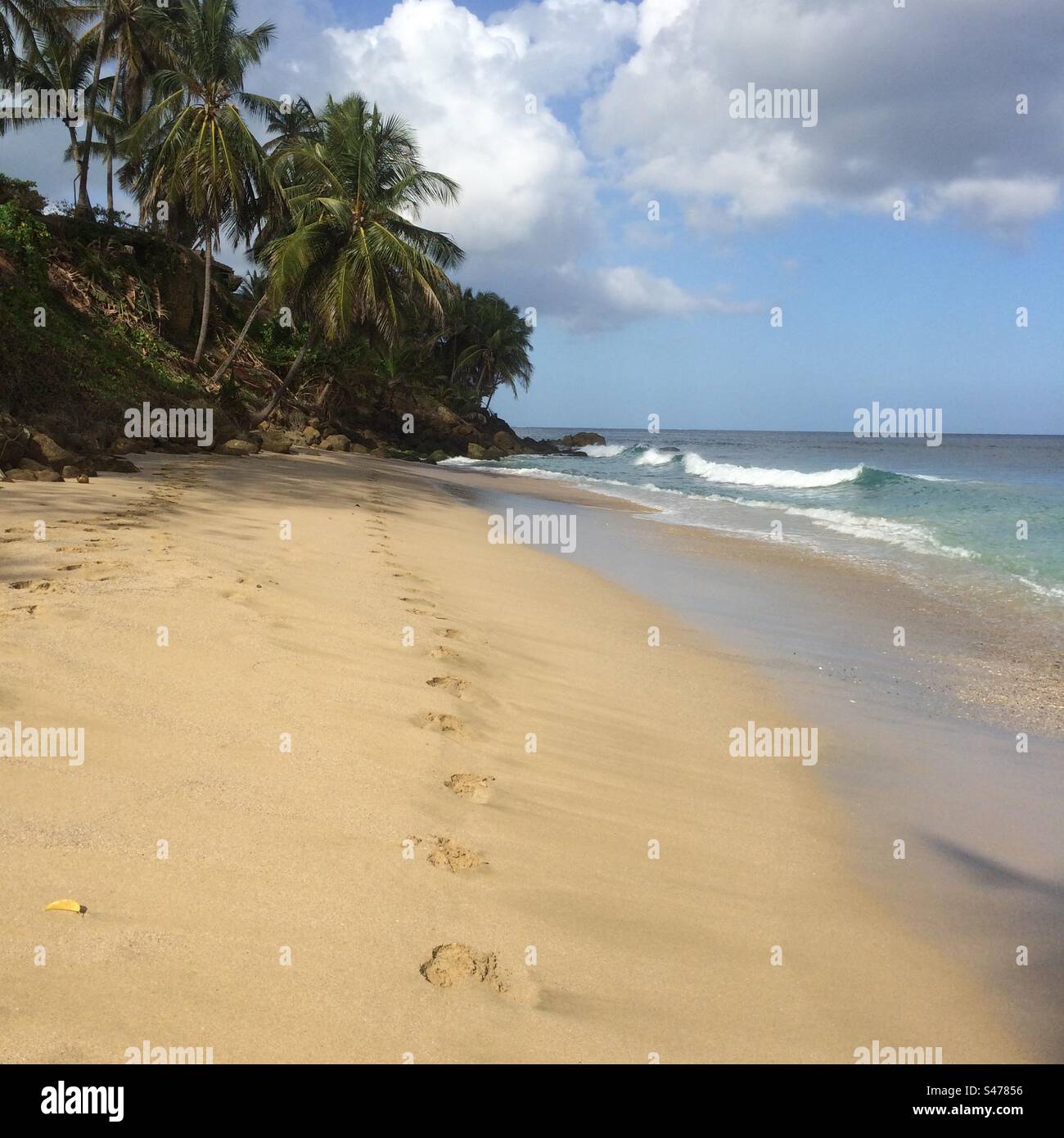 Mount Irvine Beach, Tobago - Immagine stock catturata con smartphone