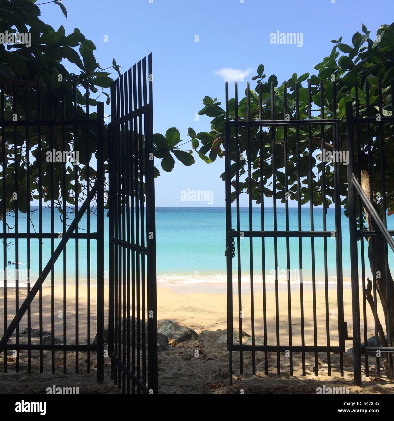 Mount Irvine Beach, Tobago - Immagine stock catturata con smartphone