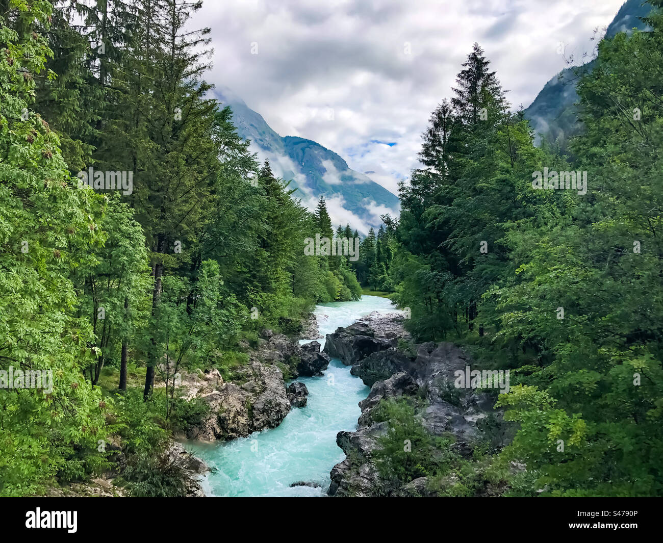 Fiume Soča Slovenia. Splendida valle del fiume Soča nelle alpi. Incredibile foresta e roccia Foto Stock