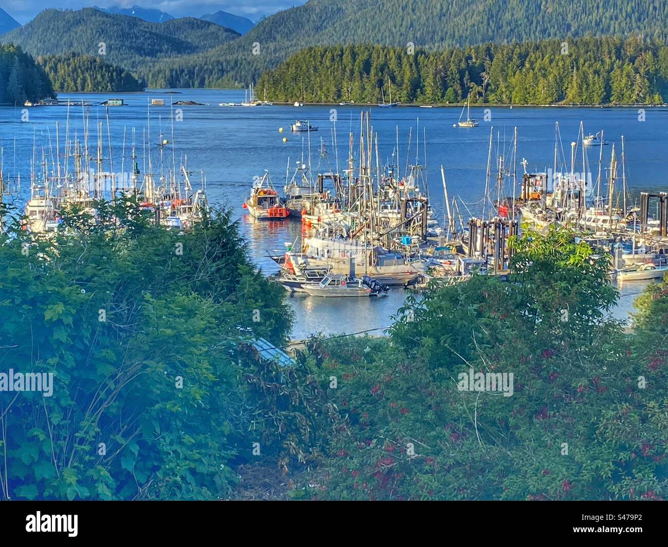 Grazioso porticciolo a Tofino, British Columbia Foto Stock