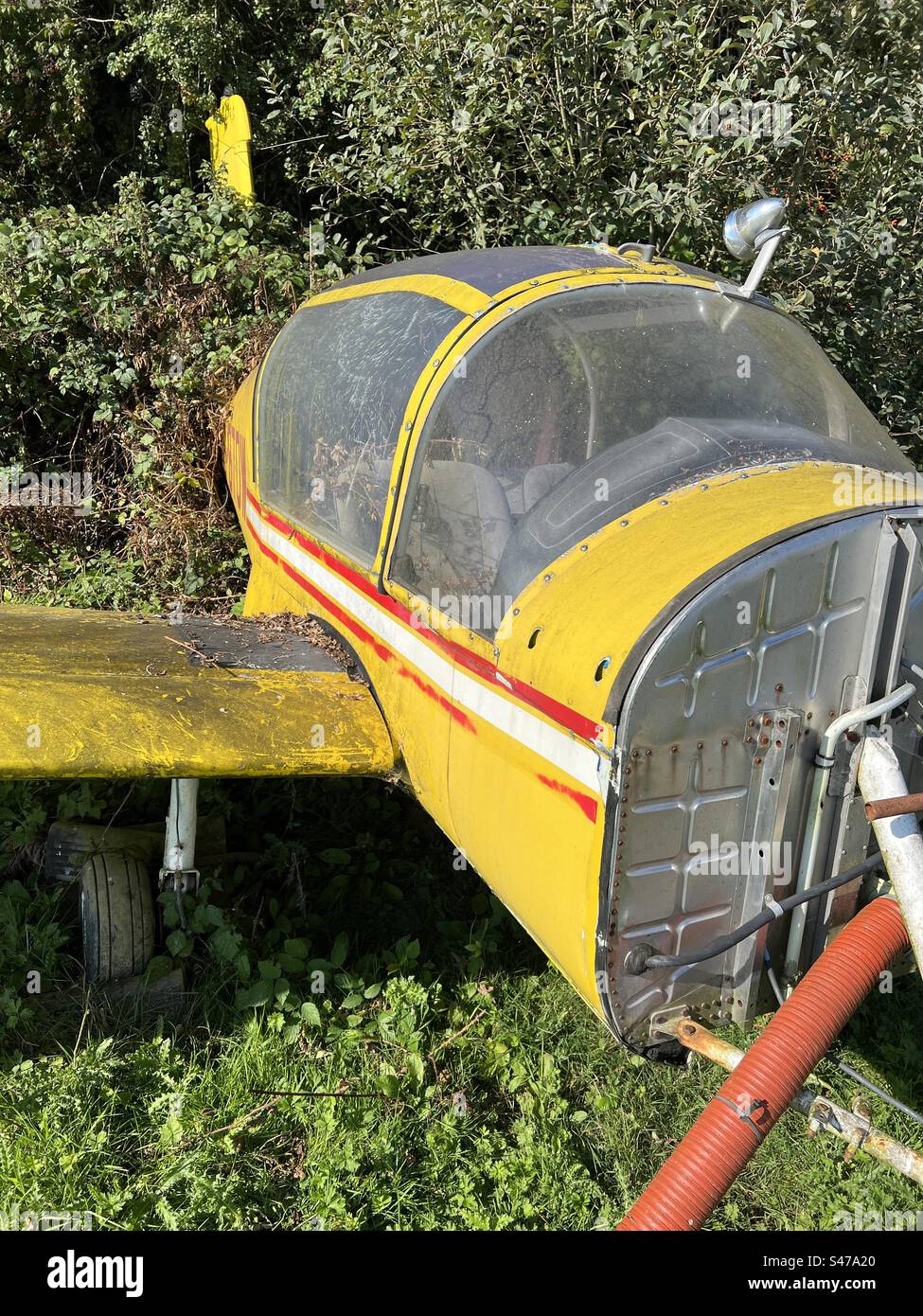 Aereo da traino aliante Morane Saulnier Rallye 180T abbandonato. Giù nelle erbacce con vegetazione troppo coltivata. Il motore è mancante Foto Stock