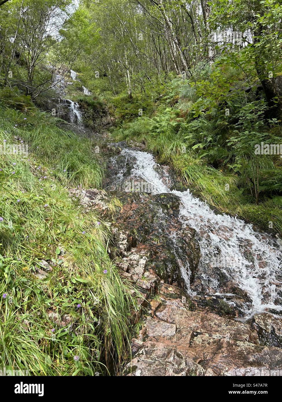 A pochi passi da Steall Falls. Lungo il percorso per la cascata di Steall, la gola di Nevis, vicino a Ben Nevis e Fort William in Scozia. Paesaggi e piccole cascate lungo il percorso verso la cascata principale. - Immagine stock catturata con smartphone