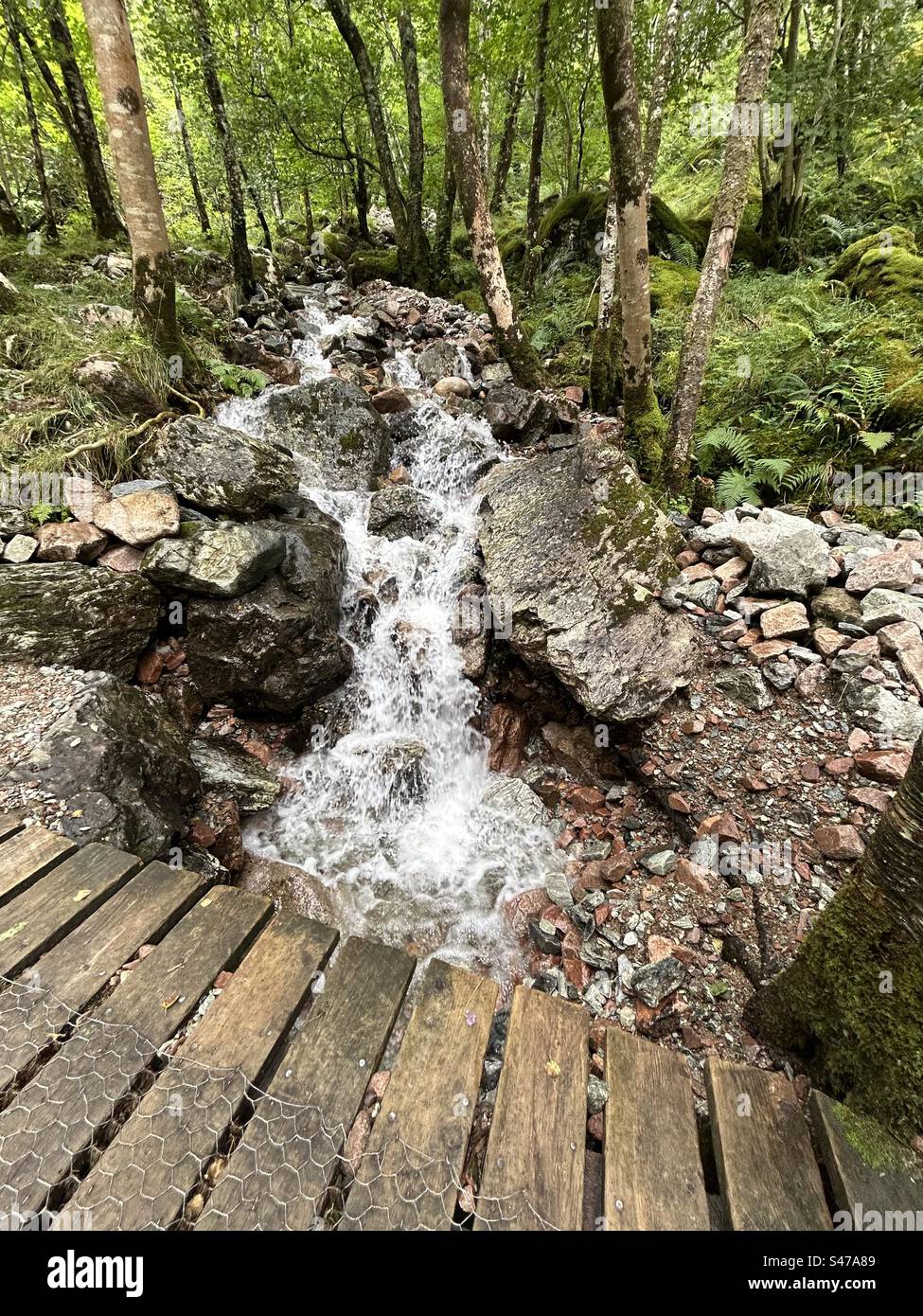 A pochi passi da Steall Falls. Lungo il percorso per la cascata di Steall, la gola di Nevis, vicino a Ben Nevis e Fort William in Scozia. Paesaggi e piccole cascate lungo il percorso verso la cascata principale. - Immagine stock catturata con smartphone