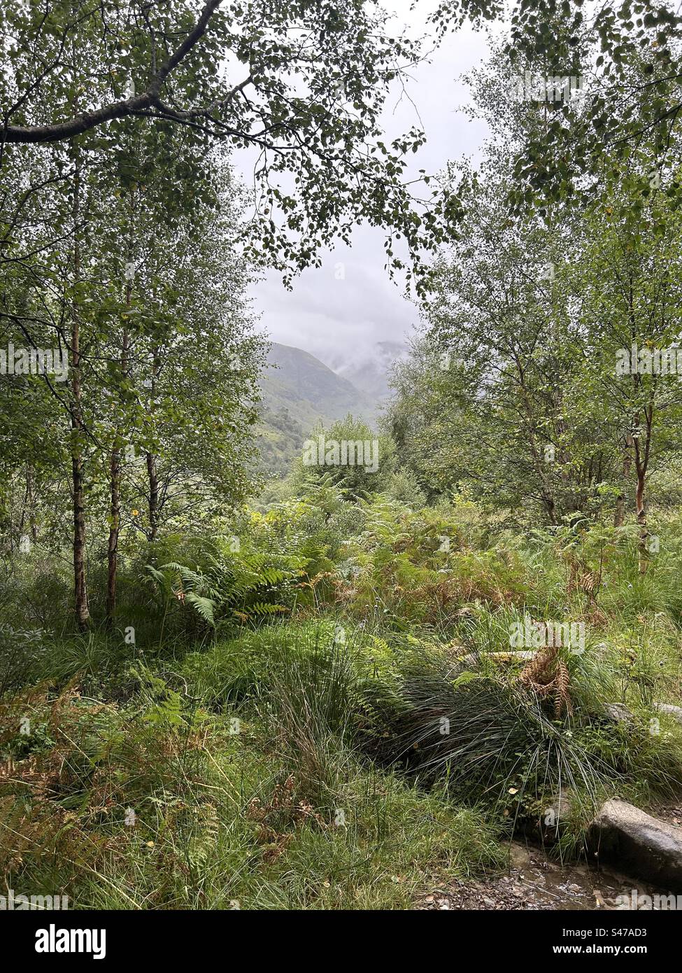 A pochi passi da Steall Falls. Lungo il percorso per la cascata di Steall, la gola di Nevis, vicino a Ben Nevis e Fort William in Scozia. Paesaggi e piccole cascate lungo il percorso verso la cascata principale. - Immagine stock catturata con smartphone