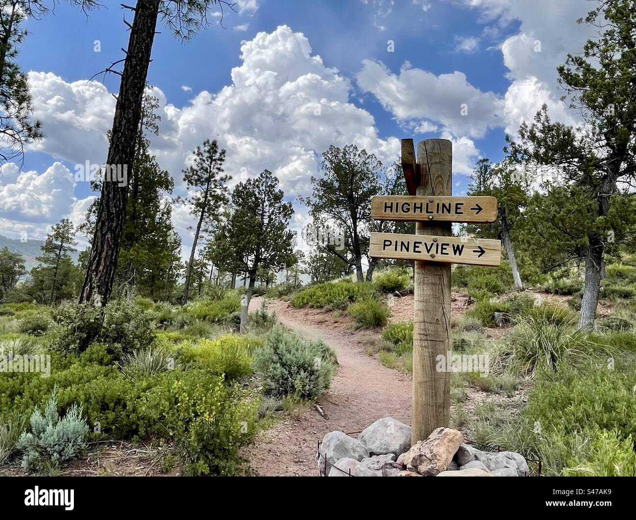 Indicazione Pine View Trail, Highline Trail, Pine Canyon Trail, Arizona Trailhead, torreggianti pini, enormi nubi monsoniche, cieli blu brillanti, Pine, Arizona Foto Stock
