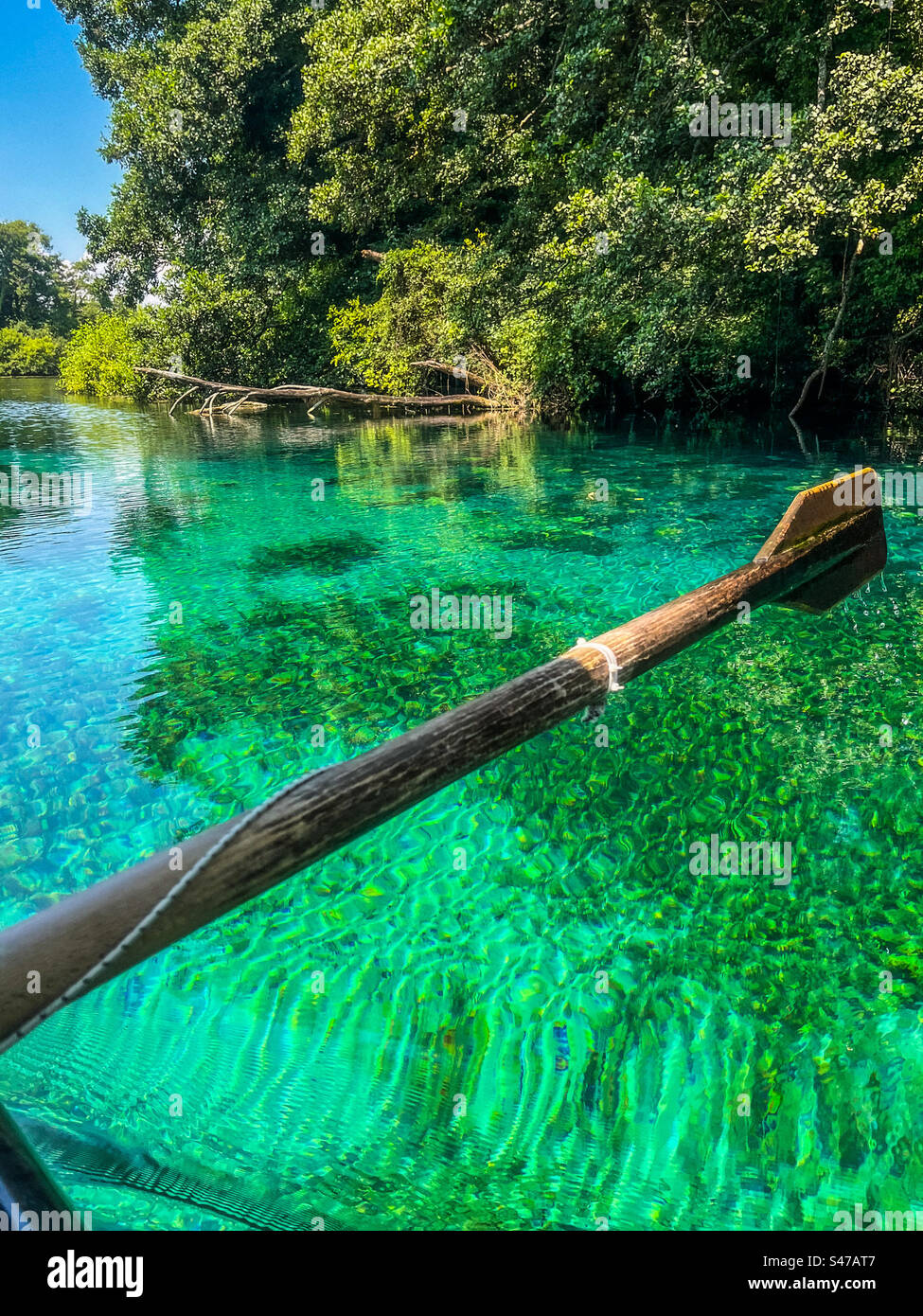 Acque termali cristalline verdi di Sveti Naum, a Ohrid, Macedonia del Nord. Bel lago con barca a remi in legno. Alberi e alghe intorno. Foto Stock