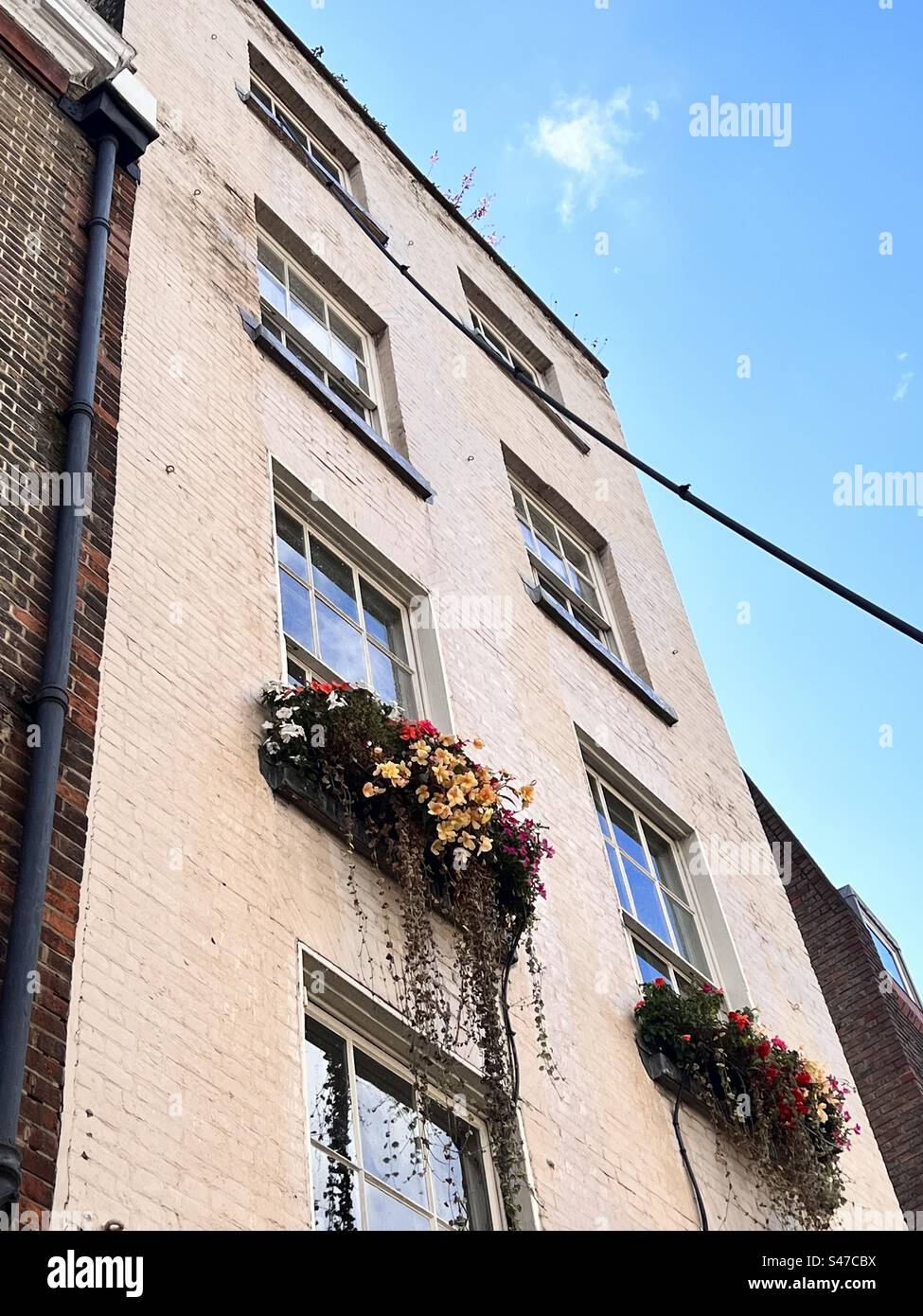 Edificio a cinque piani con finestre che lavano la casa John Harvard Southwark london Foto Stock