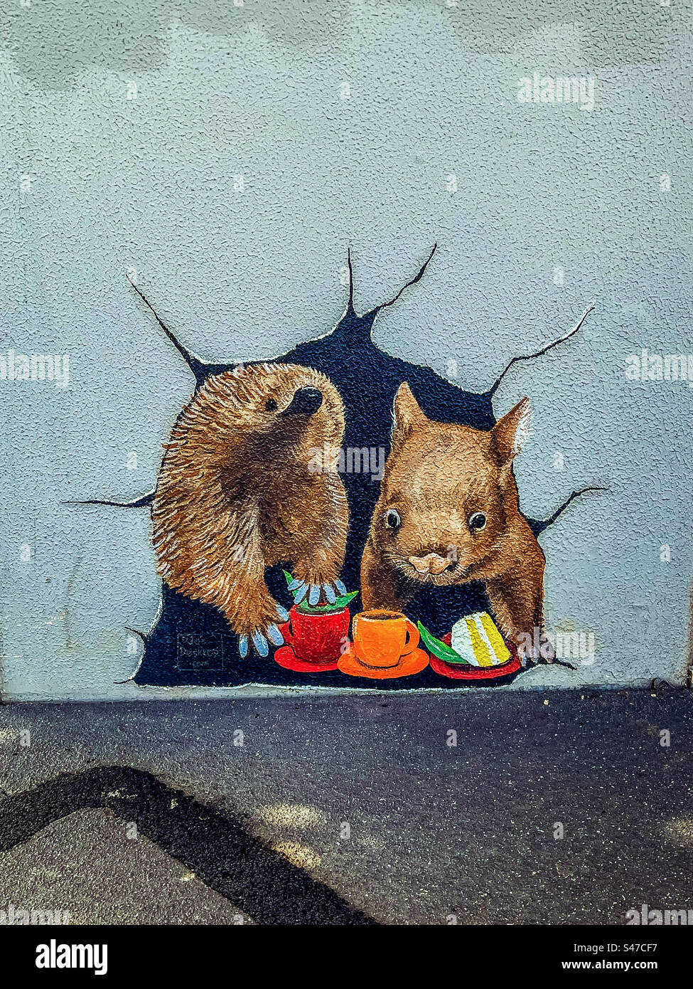Street art di Joanne Everard; murale di un'echidna e wombat tea party sulla parete di un caffè a Victoria, Australia, con spazio per le copie. Fauna australiana. Foto Stock