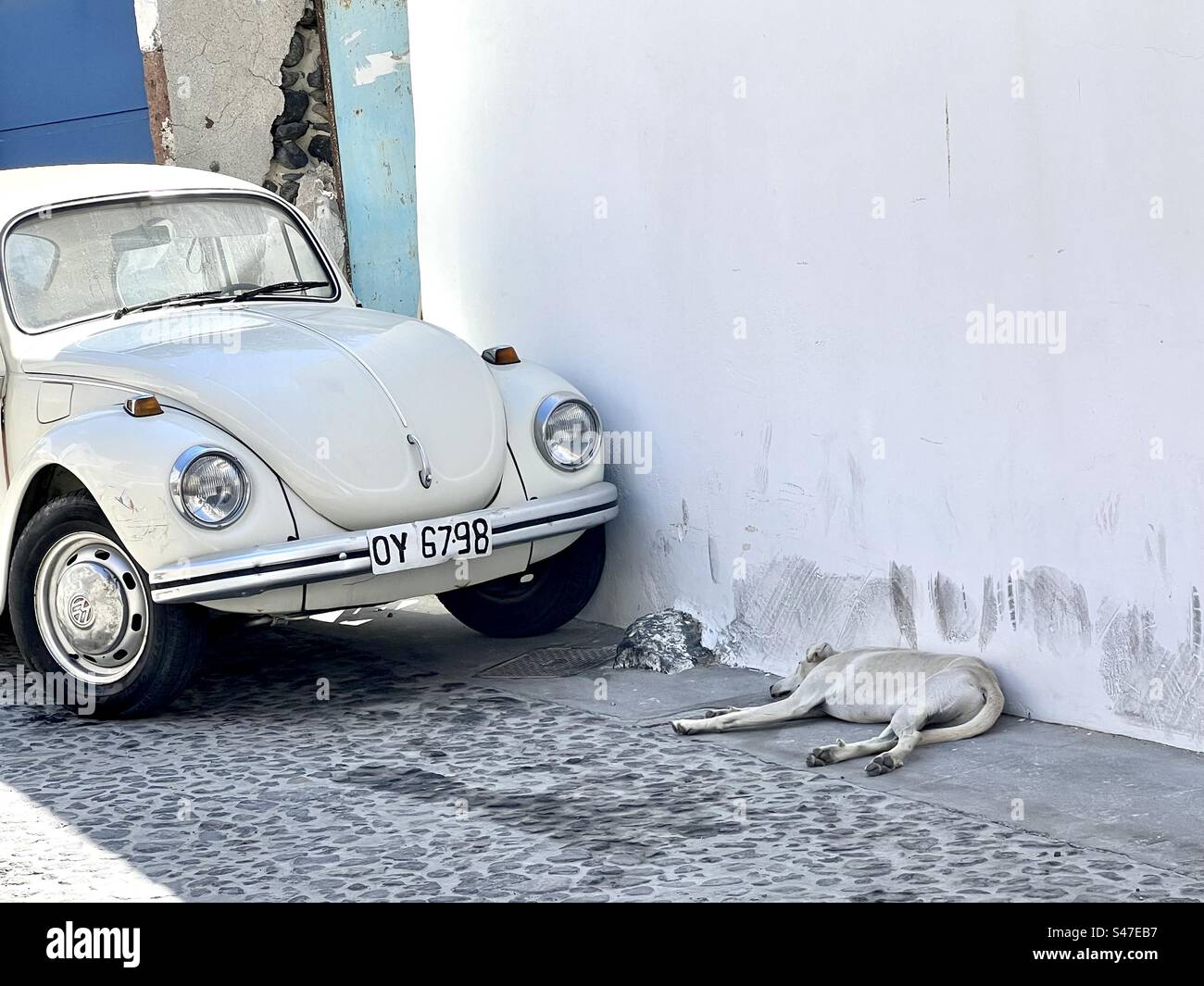 Un cane che riposa vicino a un insetto VW sul lato di un edificio imbiancato nel villaggio di Megalochori, Santorini. - Immagine stock catturata con smartphone Un cane che riposa vicino a un insetto VW sul lato di un edificio imbiancato nel villaggio di Megalochori, Santorini. - Immagine stock catturata con smartphone