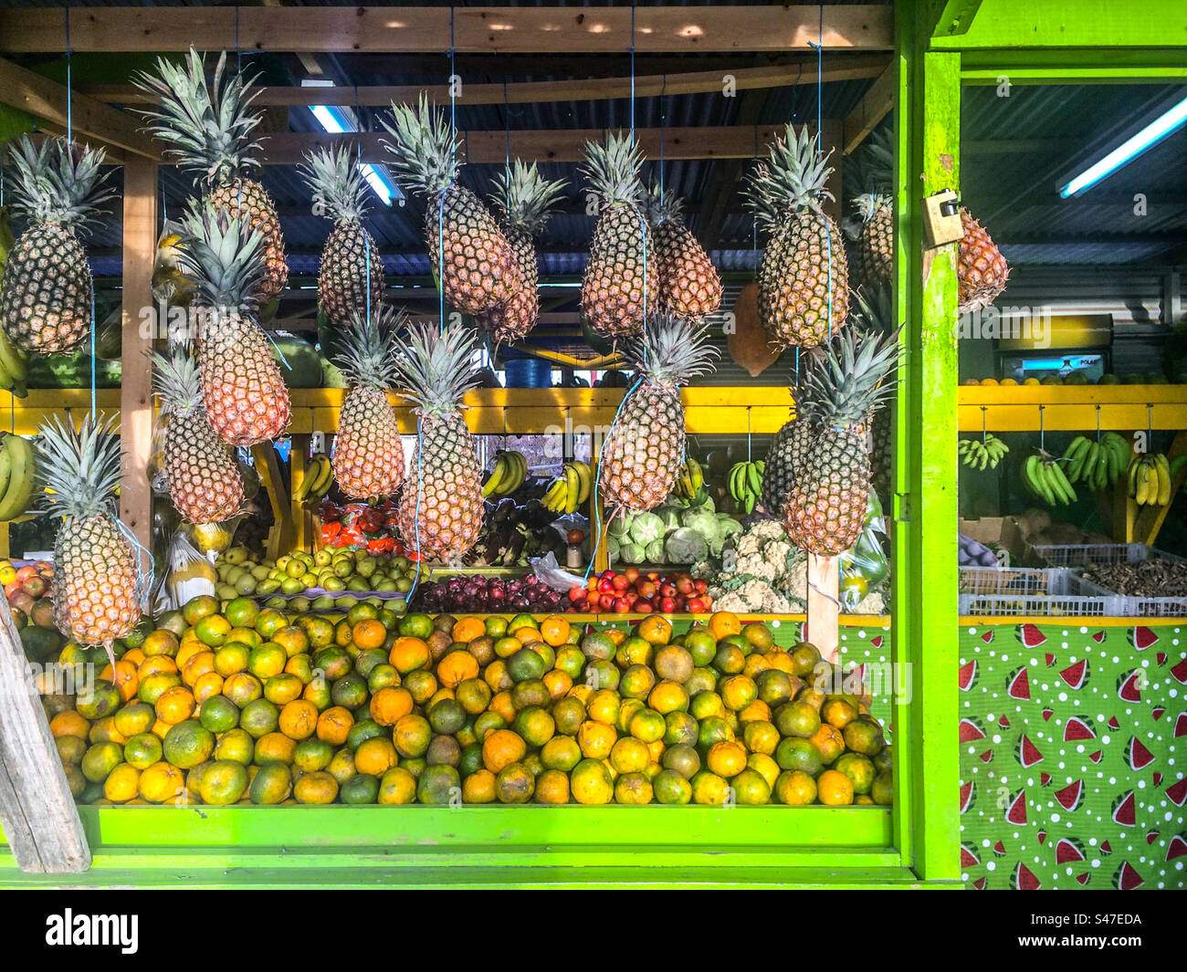 Ananas a un banco di frutta nei Caraibi - Immagine stock catturata con smartphone
