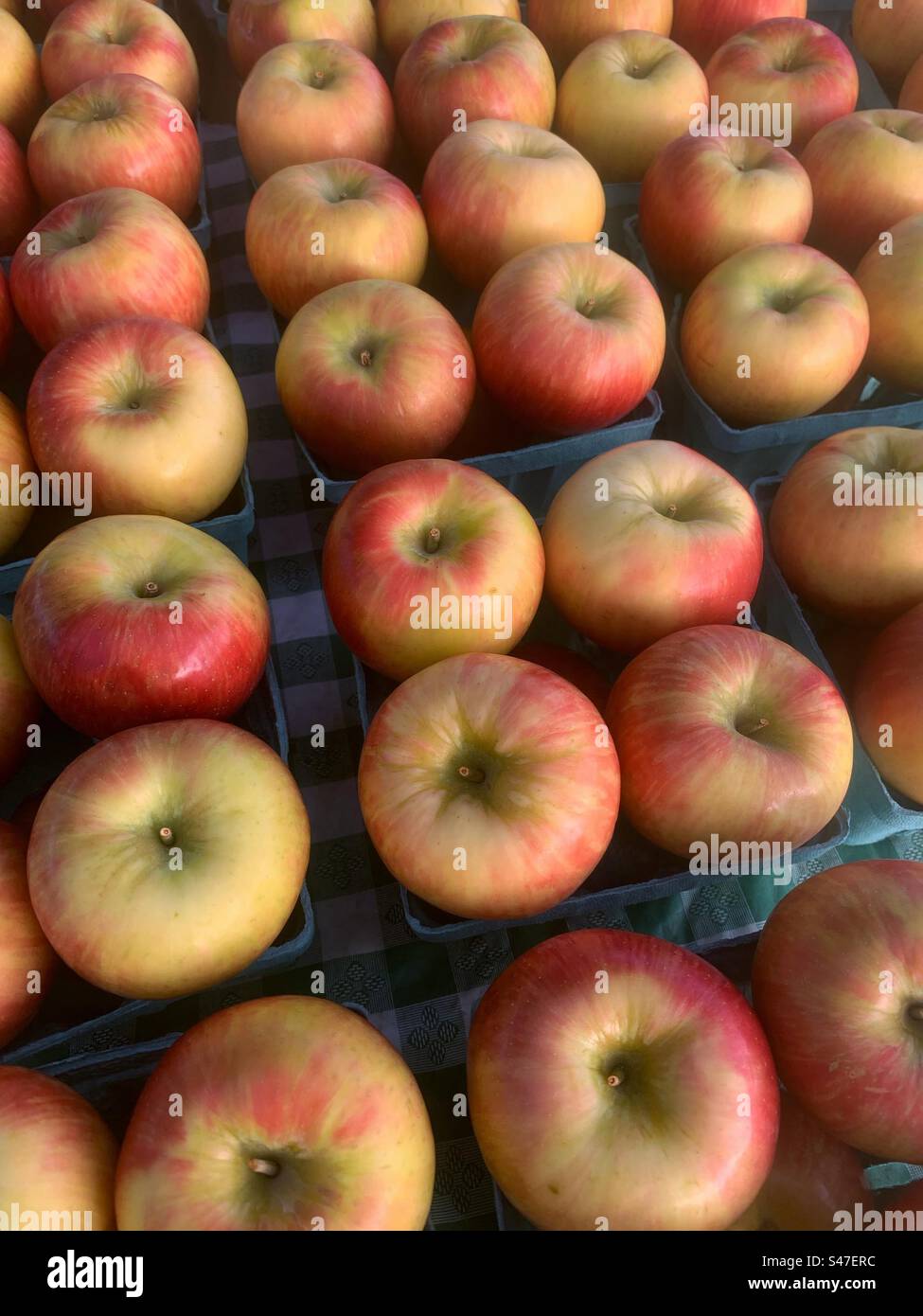 Deliziose mele autunnali in vendita presso il mercato agricolo locale. Foto Stock
