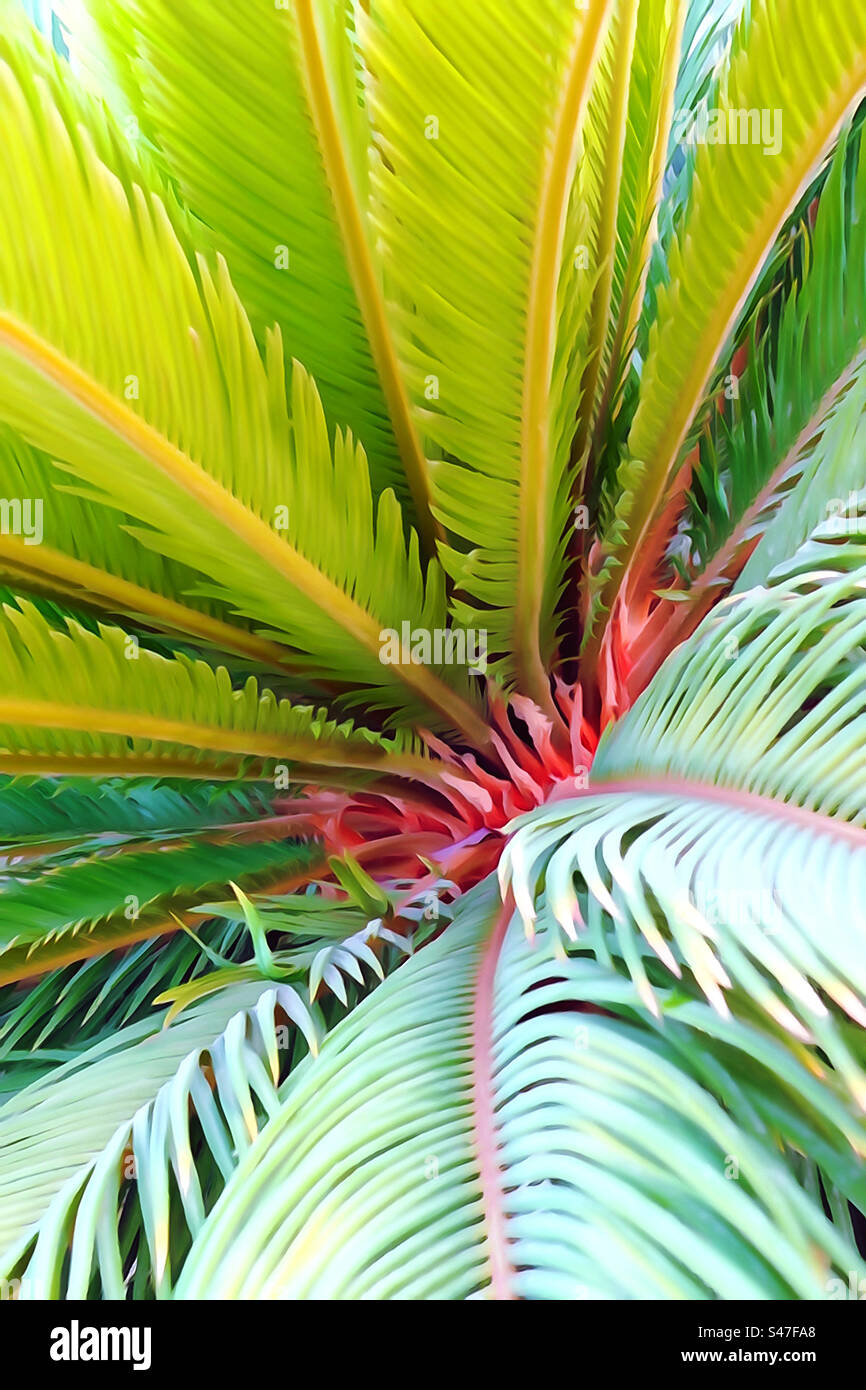 Sfondo naturale verticale delle foglie di palmo Foto Stock