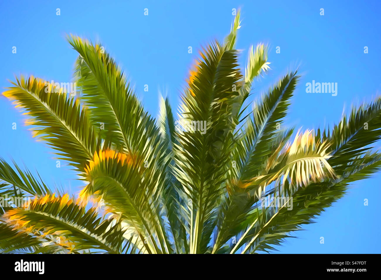 Palm tree contro il cielo blu Foto Stock