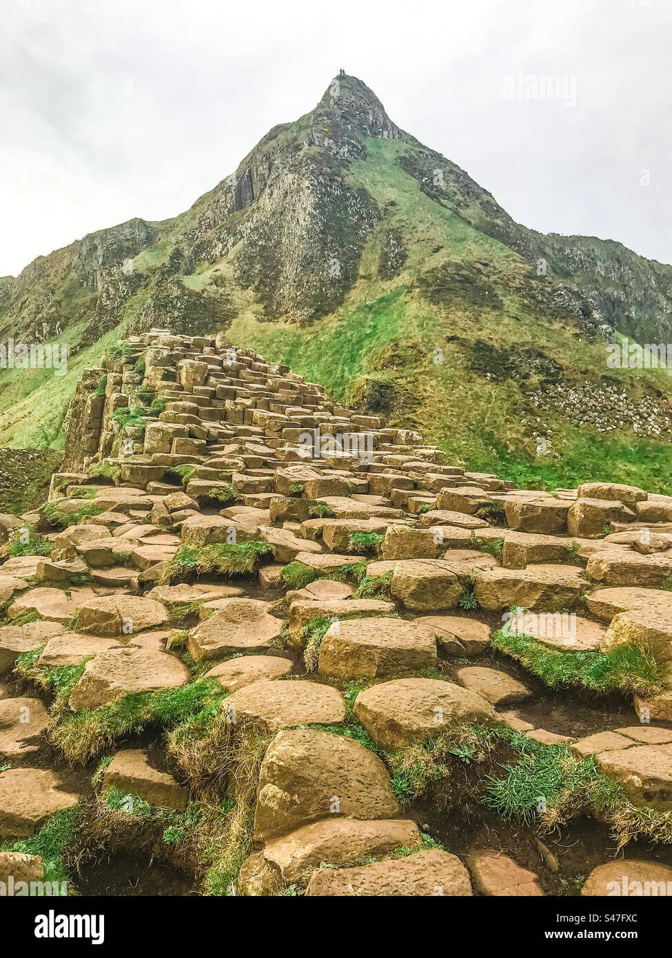 Giant's Causeway, Irlanda del Nord Foto Stock