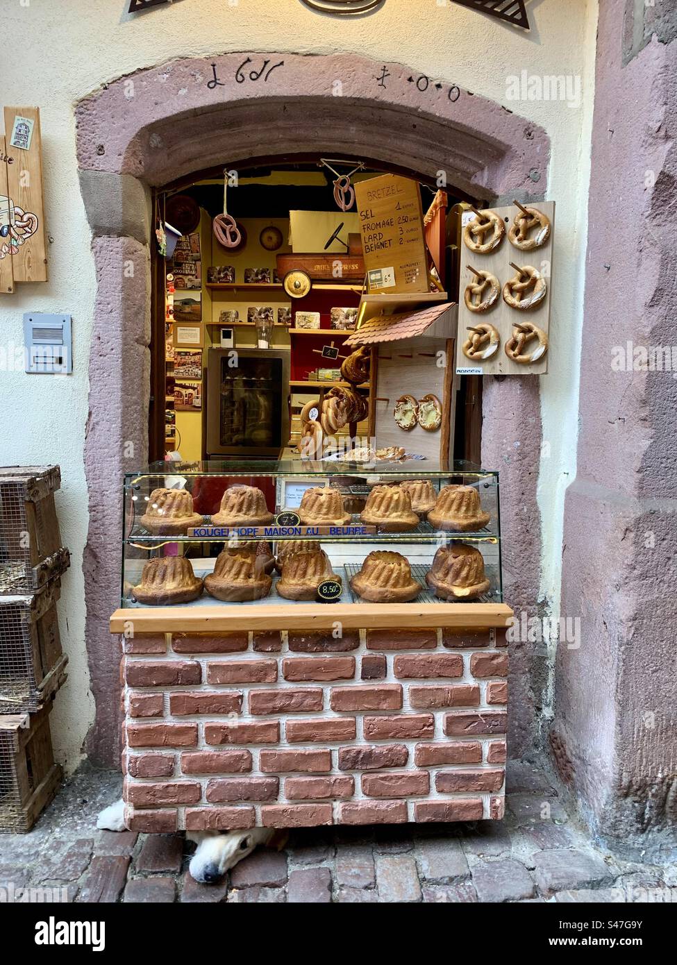 Pasticceria francese con cane che esce sotto il bancone - Immagine stock catturata con smartphone