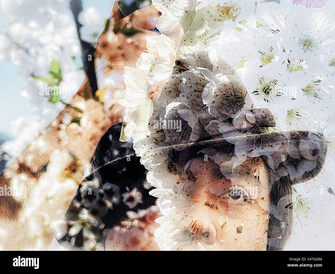 Sogno primaverile. Composito digitale del volto di un uomo con cappello nero e una sovrapposizione di fiori di ciliegio bianco in primavera. Sognante. Surreale. Foto Stock