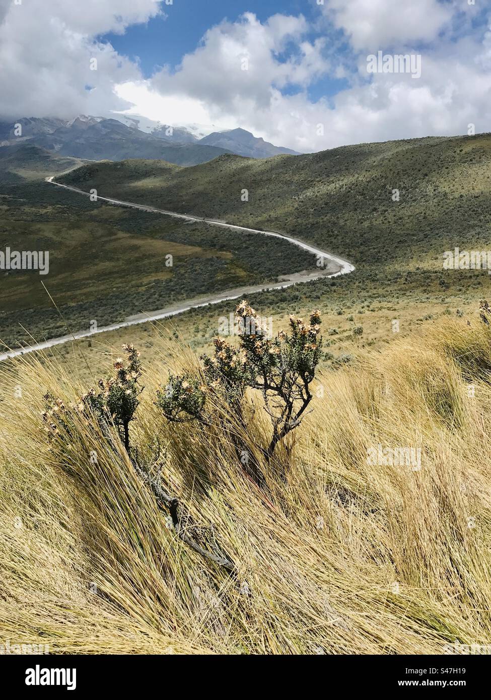 Strada per il vulcano Cayambe, Ecuador Foto Stock