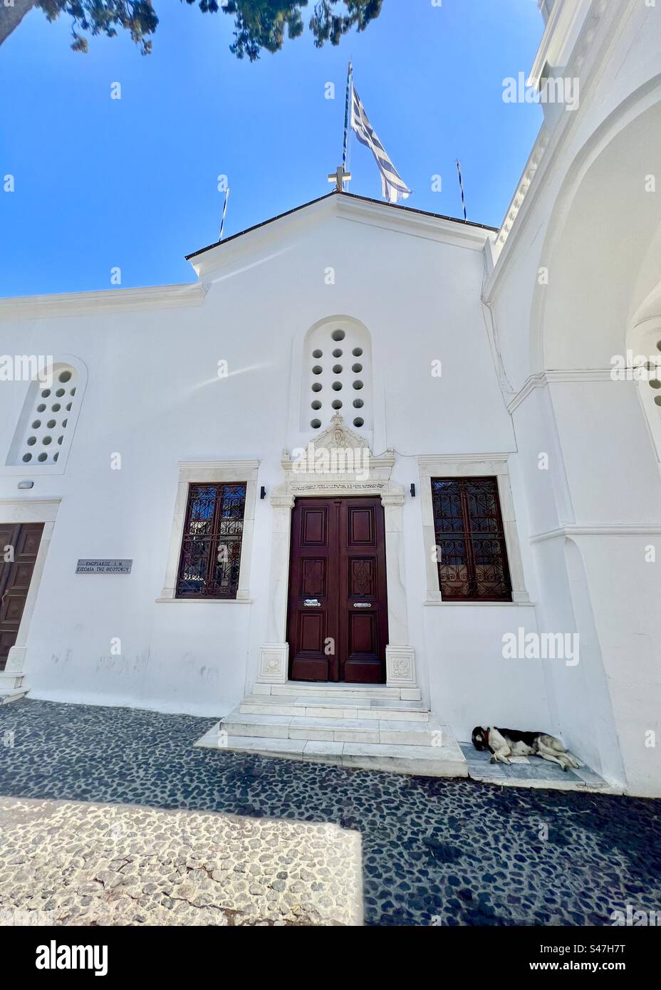 Un cane piange in un angolo ombreggiato dell'esterno della Panagia ton Eisodion (chiesa dell'Ascensione di Maria) nel villaggio Megalochori di Santorini. - Immagine stock catturata con smartphone Un cane piange in un angolo ombreggiato dell'esterno della Panagia ton Eisodion (chiesa dell'Ascensione di Maria) nel villaggio Megalochori di Santorini. - Immagine stock catturata con smartphone