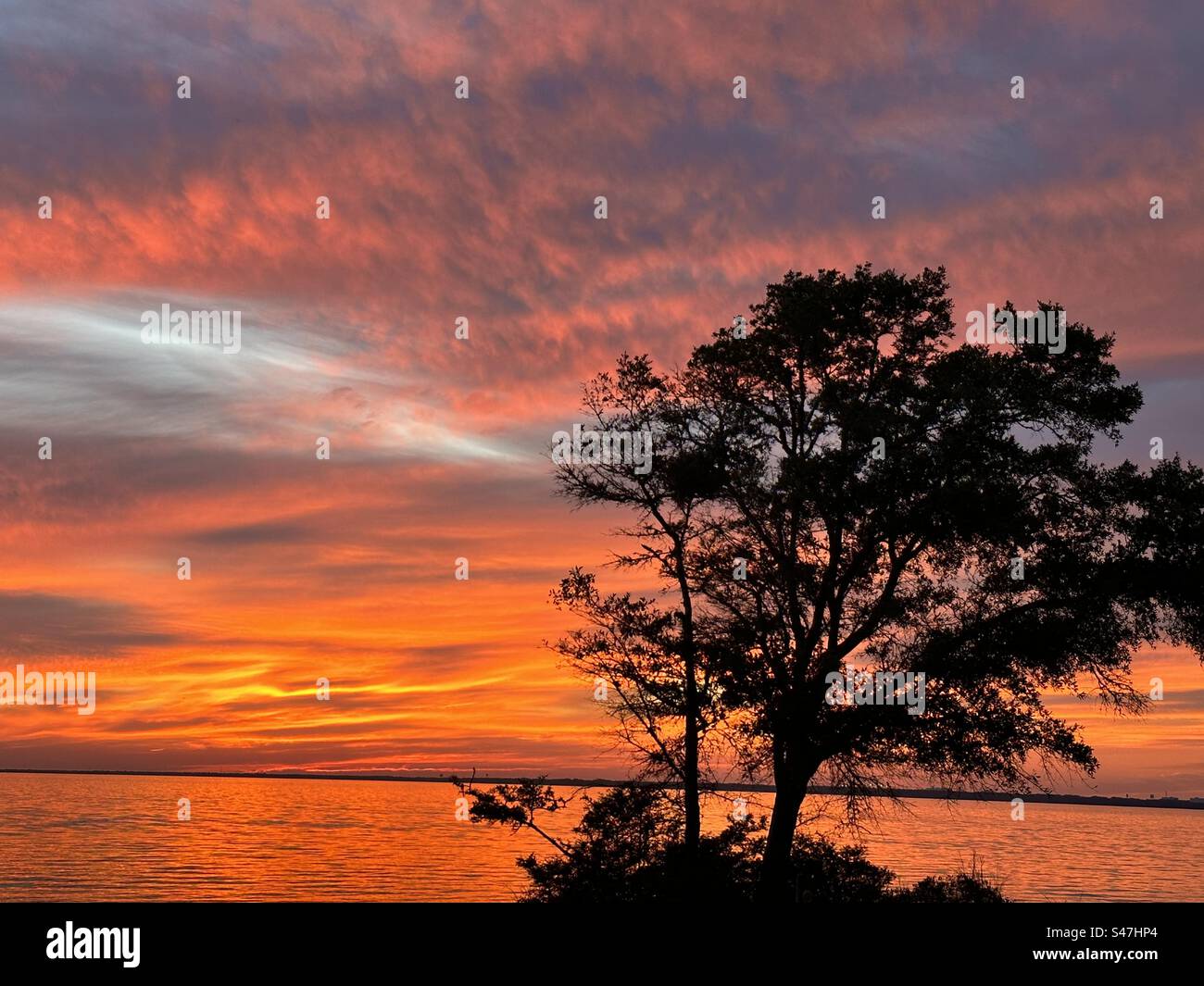 Un tramonto radioso che mostra il multicolore nel cielo e la silhouette di un albero solitario Foto Stock