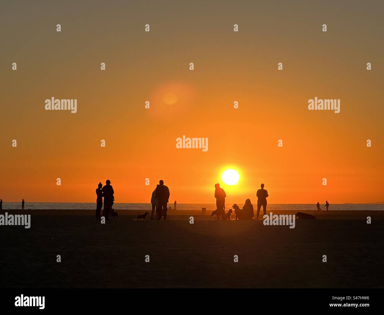 Cani e proprietari sulla spiaggia di Los Angles al tramonto - Immagine stock catturata con smartphone