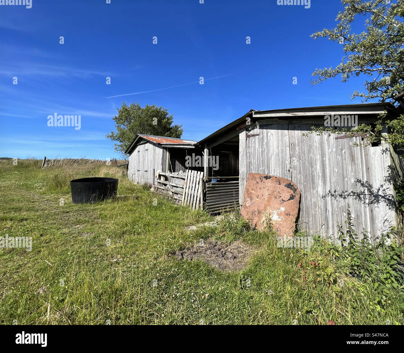 Scenario country, con vecchi capannoni di legno, sulle colline vicino a Slaidburn, Clitheroe Regno Unito Foto Stock