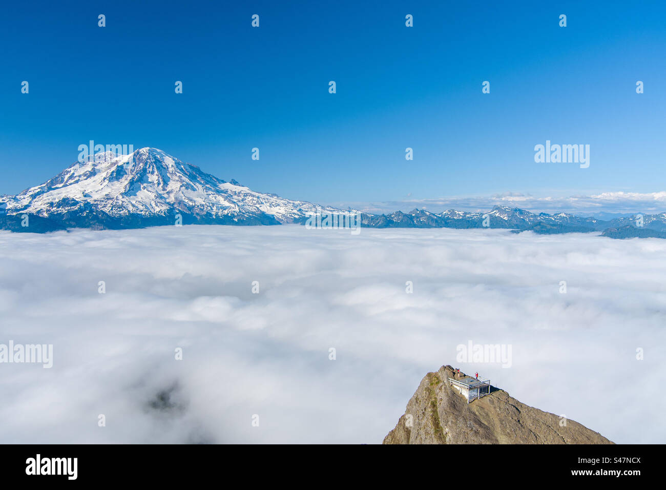 Il Monte Rainier si innalza sopra le nuvole ad Ashford, Washington Foto Stock