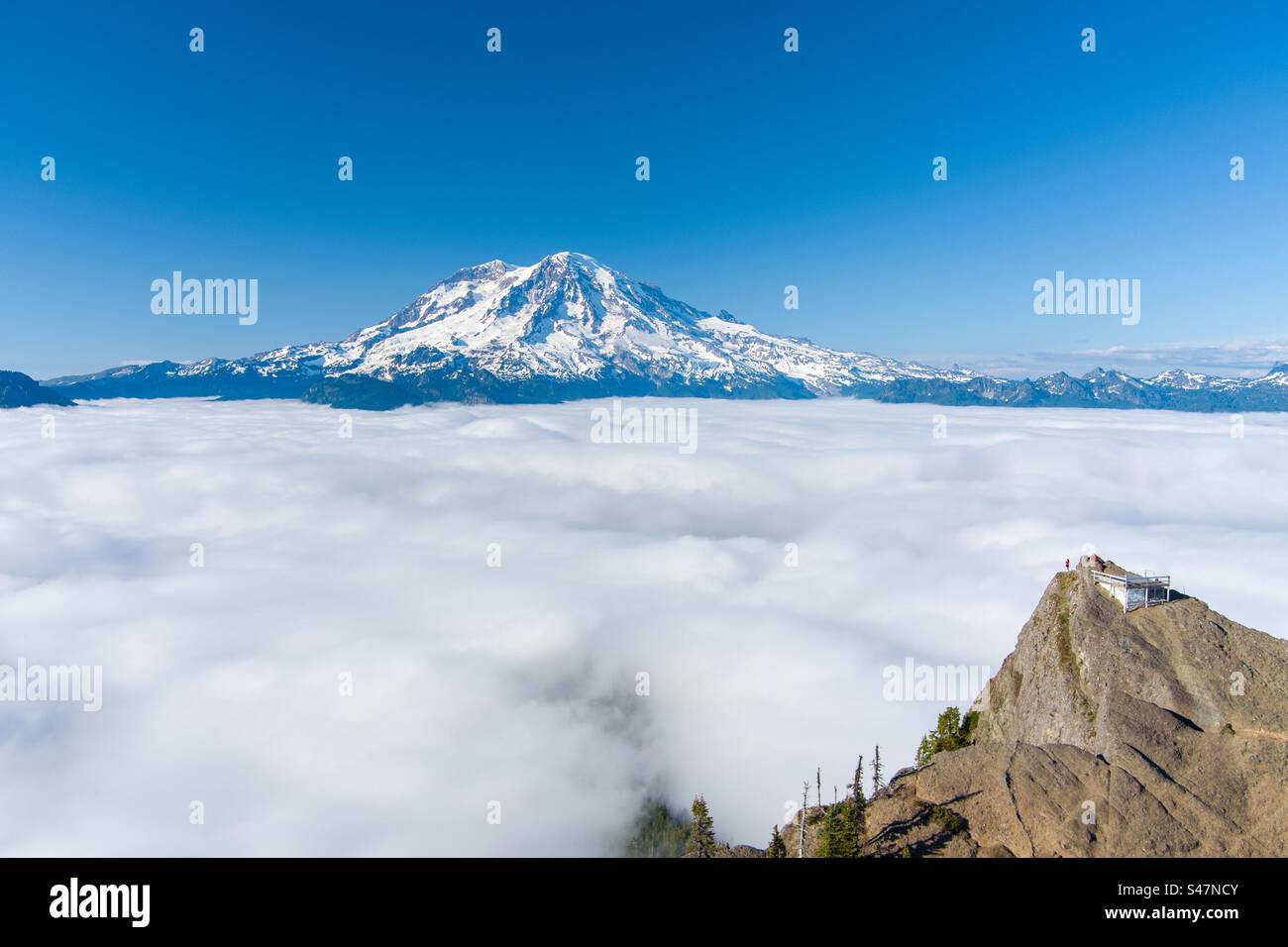 Mount Rainier presso High Rock Lookout Foto Stock