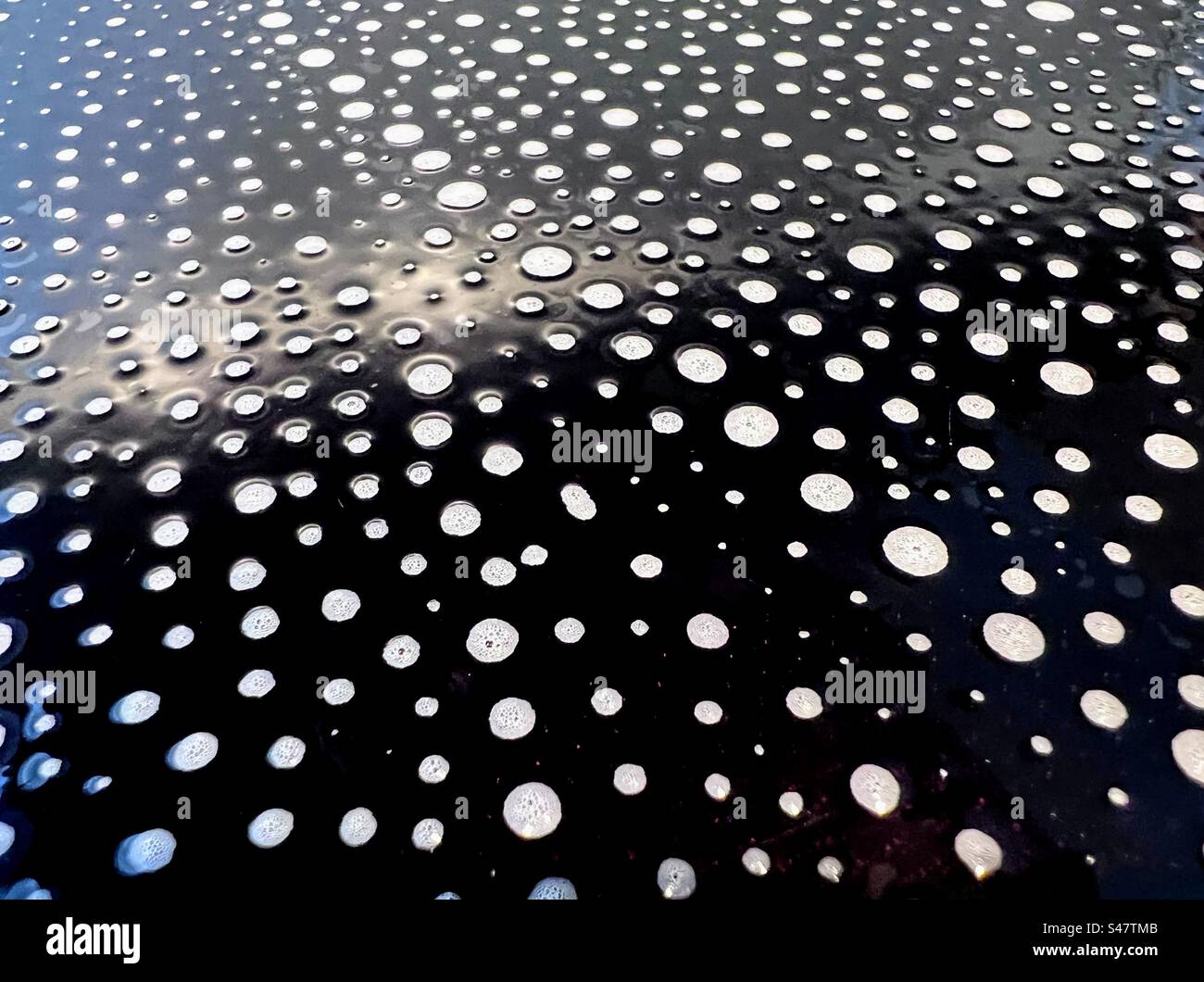 Superficie monocromatica astratta in bianco e nero con punti circolari a bolle d'aria in schiuma detergente sapone sullo sfondo del pannello nero lucido - Immagine stock catturata con smartphone