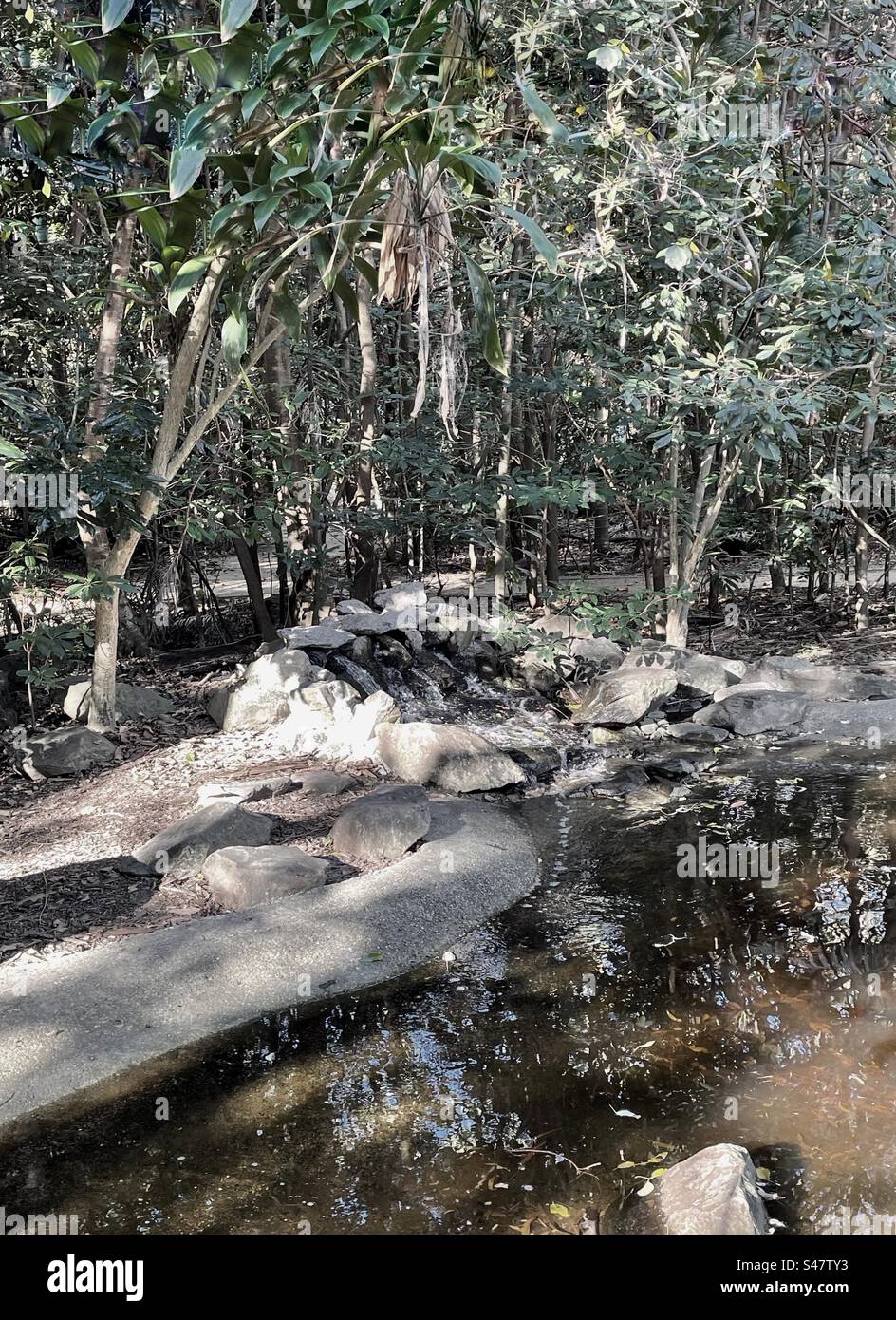 Foresta pluviale aperta con cascata artificiale Foto Stock