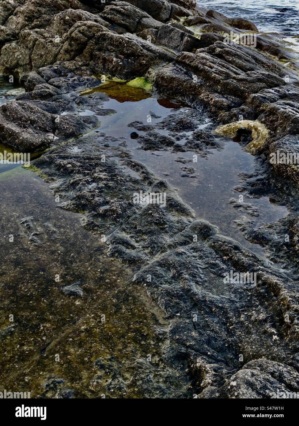 Saint Raphael agay sbarco spiaggia dalla seconda guerra mondiale, 2a Guerra Mondiale, vacanza nel Mar Mediterraneo, vacanza vacanza vacanza, solide alghe marine, acqua di alghe marine, sud della Francia Foto Stock