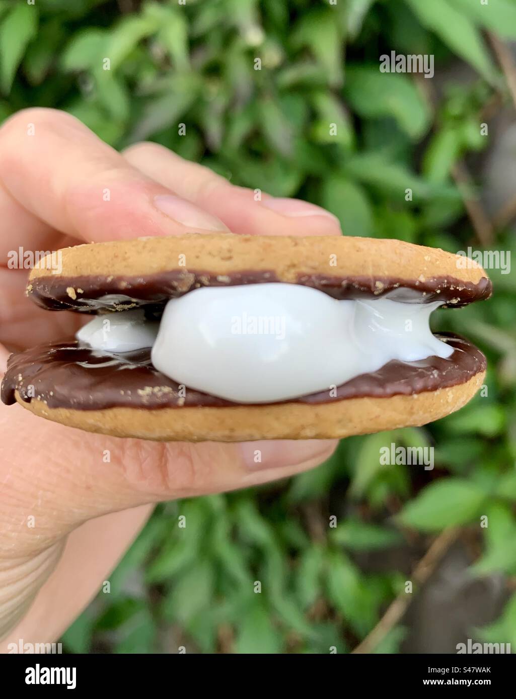 Smores marshmallow biscotti - Immagine stock catturata con smartphone