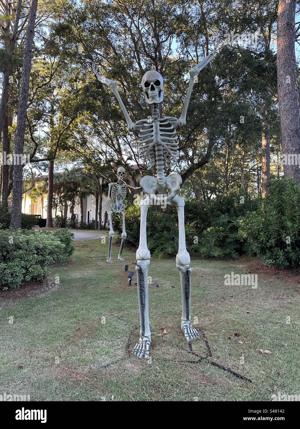 Grandi decorazioni di Halloween con scheletro all'aperto Foto Stock