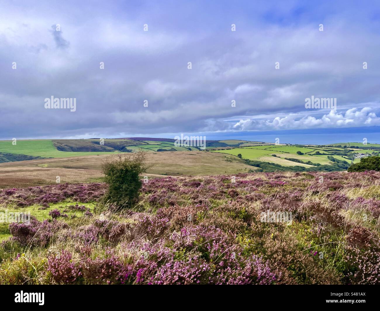 Exmoor National Park, Somerset, Inghilterra Foto Stock