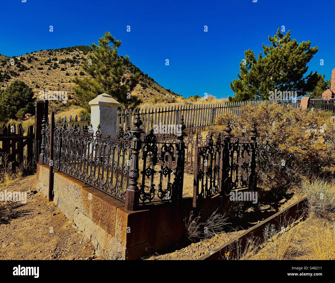 Silver Terrace Cemeteries (Virginia City, Nevada) tomba del Commissario della contea Storey Lawrence H. Torp, ucciso in un incidente in buggy mentre tornava a casa dalla chiesa nel 1878. Foto Stock