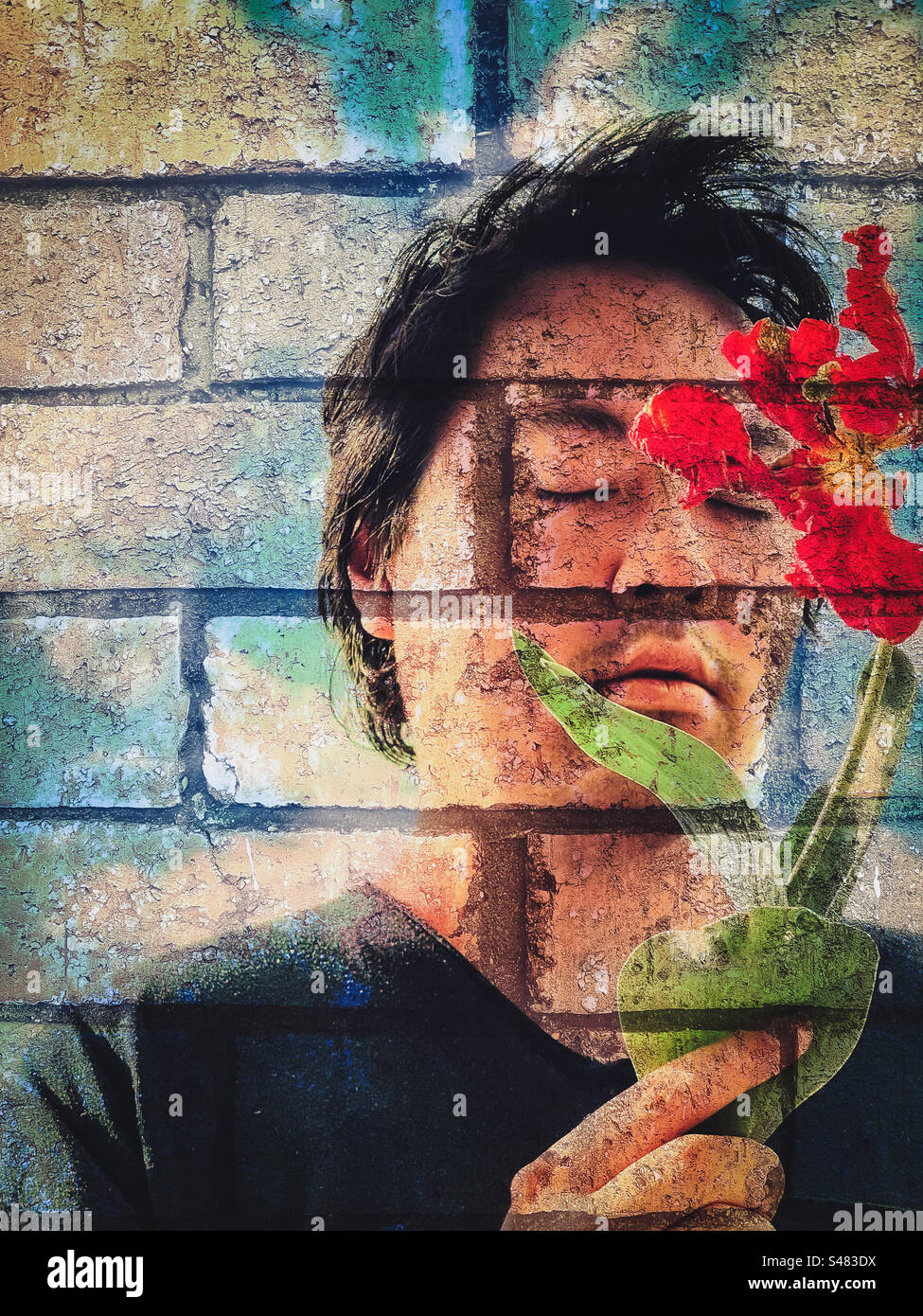 Composito digitale di un giovane che tiene un fiore di tulipano rosso e un muro di mattoni. Arte. Surreale. Creatività. Foto Stock
