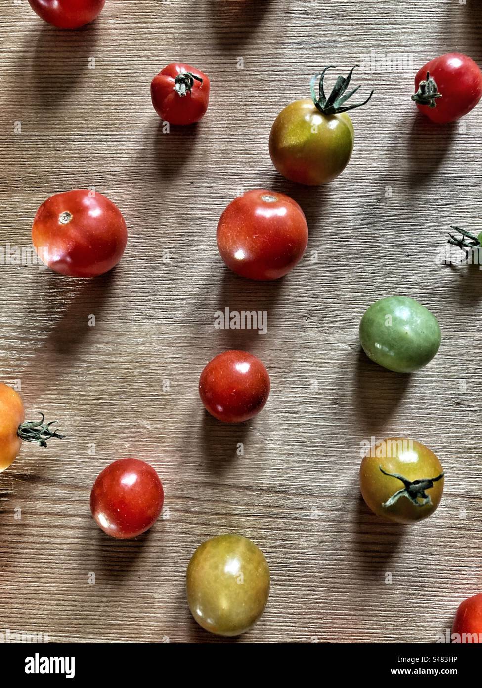 Primo piano della natura morta dei pomodori ciliegini, isolata su uno sfondo di legno - in diverse fasi (verde/maturo) - Immagine stock catturata con smartphone