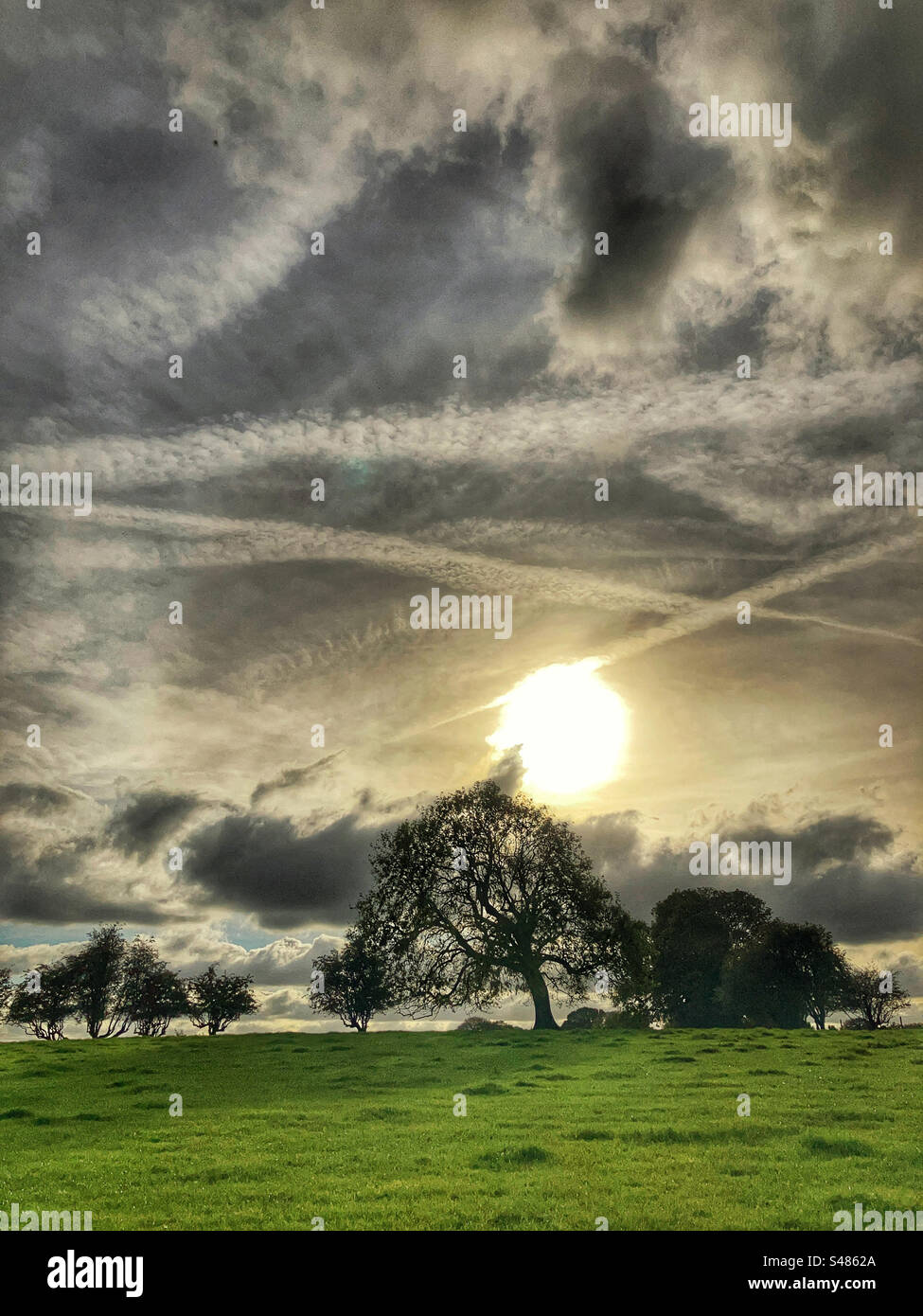 Alberi sulla Chevin Otley West Yorkshire - Immagine stock catturata con smartphone