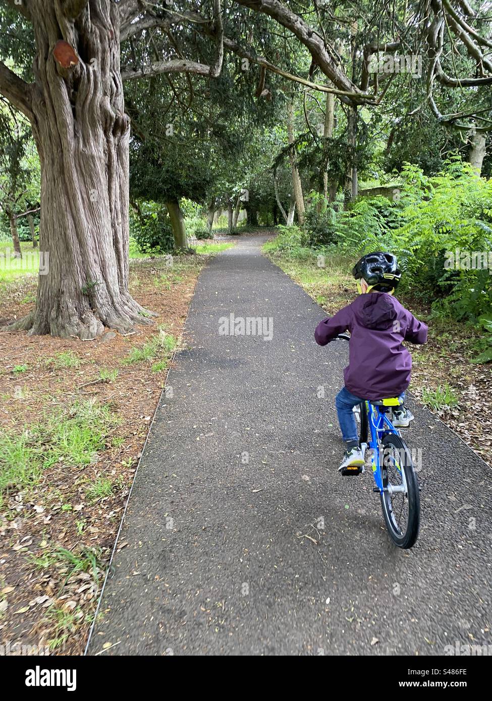 Bambini in bicicletta lungo un sentiero in un parco alberato Foto Stock