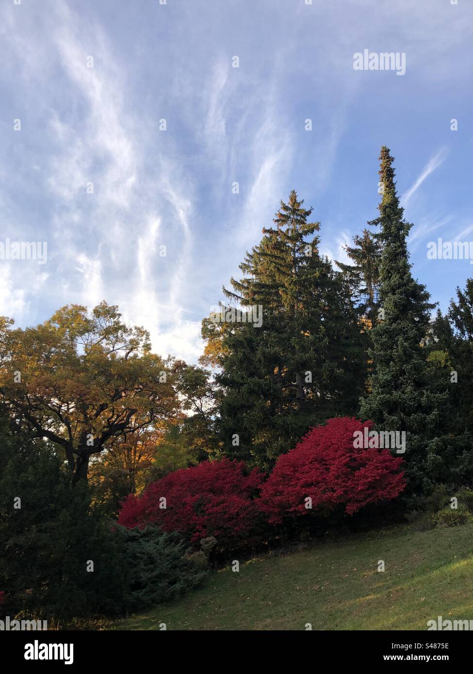 Splendido paesaggio autunnale. Foto Stock