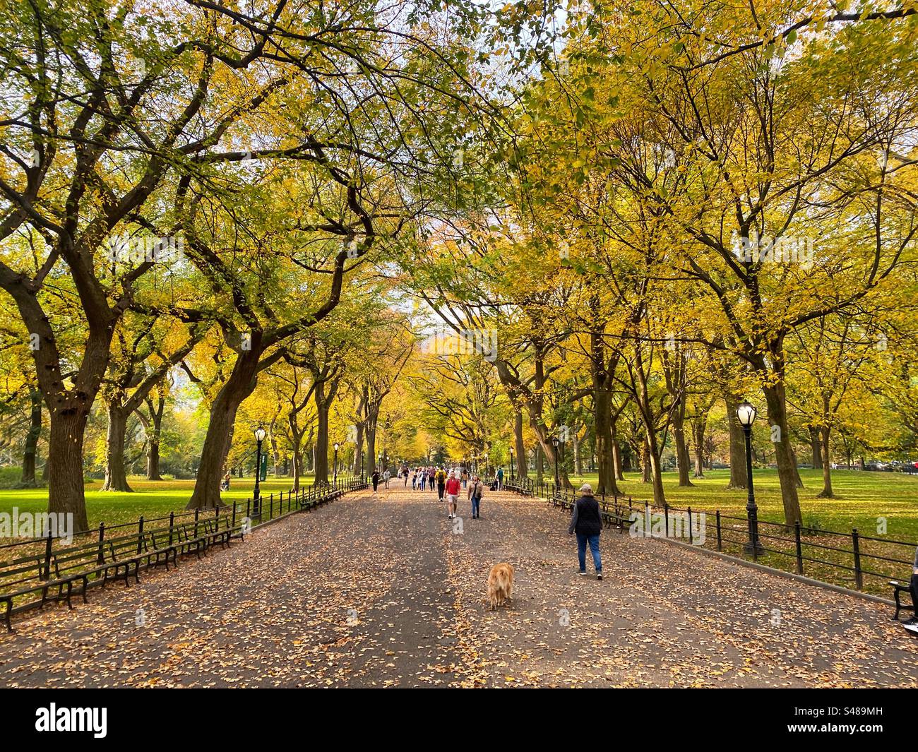 Central Park in autunno, New York, Stati Uniti d'America. - Immagine stock catturata con smartphone