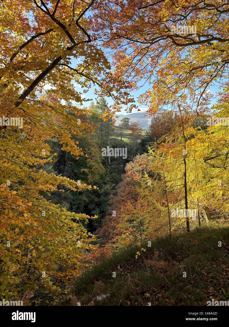 Vacanze autunnali a Kenmore, in Scozia Foto Stock