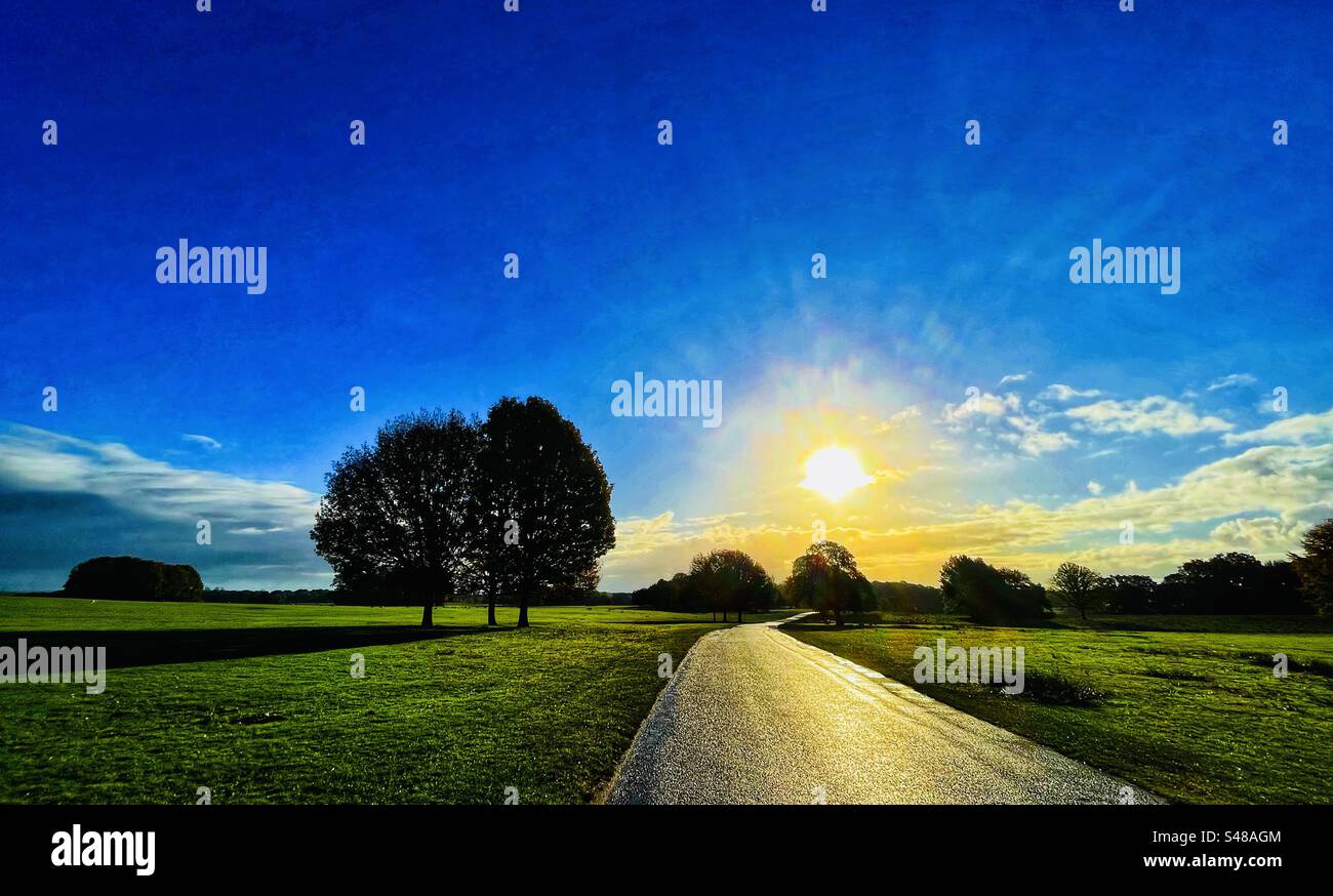 Una strada di campagna che guarda verso il sole in una mattina autunnale con alberi su entrambi i lati Foto Stock