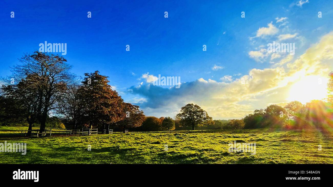 Il sole autunnale sorge su un campo e sugli alberi nella campagna inglese Foto Stock