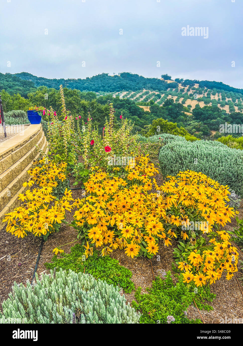 La vista dal monte Daou a Paso Robles, California, il 2 settembre 2023. Foto Stock
