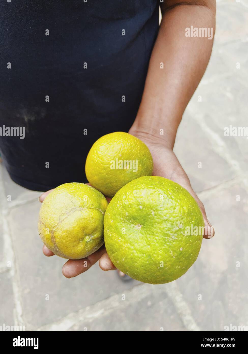 Un contadino biologico che mostra le sue arance - Immagine stock catturata con smartphone