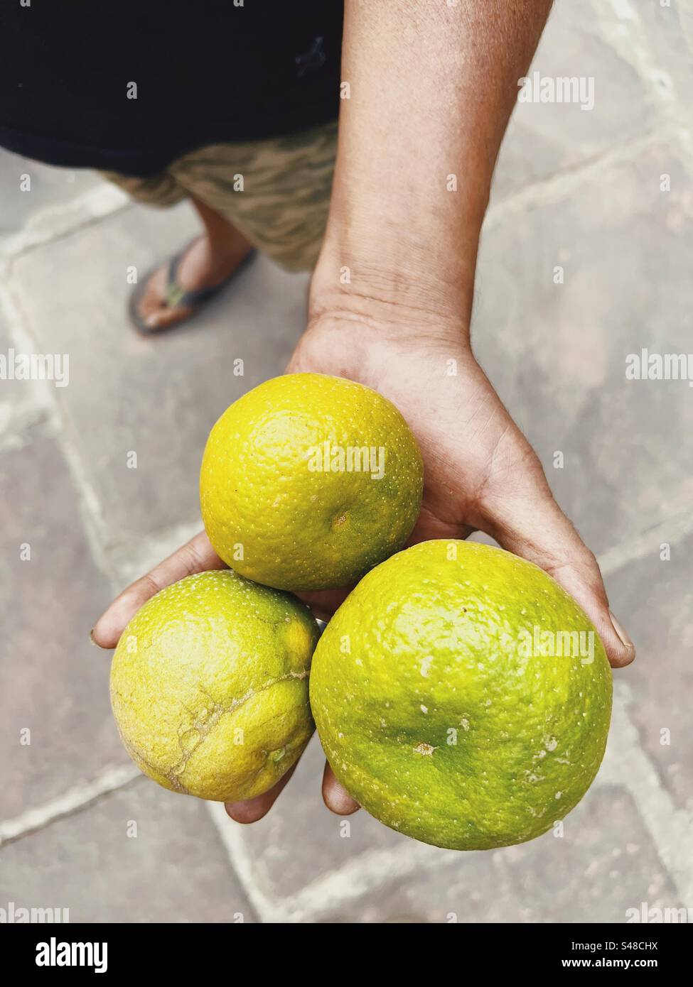 Un agricoltore biologico che mostra le sue arance in vendita - Immagine stock catturata con smartphone