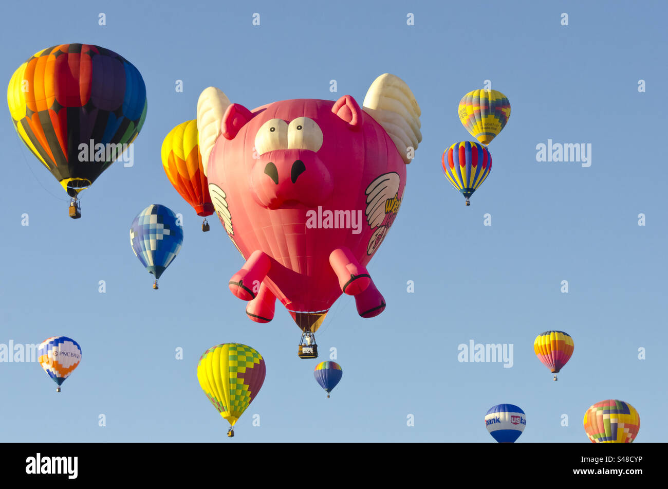 Il pallone volante fiesta a testa di maiale ad Albuquerque, New Mexico Foto Stock