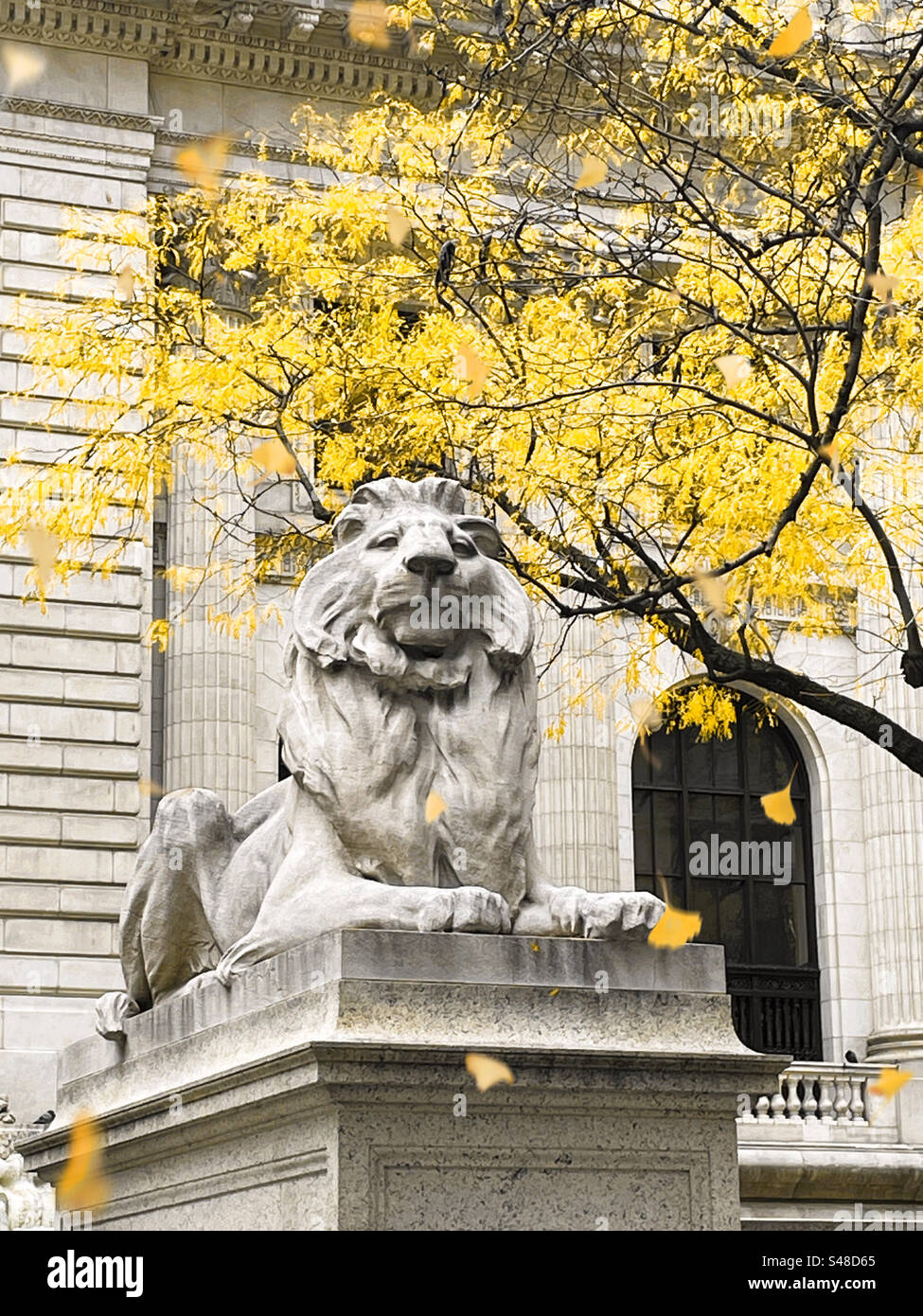 Fortitude, il leone della biblioteca pubblica di New York in un soleggiato pomeriggio autunnale del 2023, New York City, USA - Immagine stock catturata con smartphone